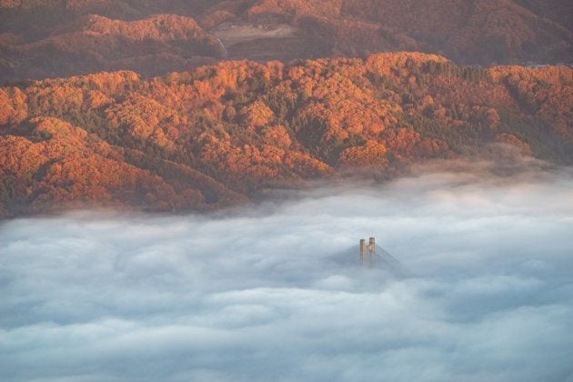 秩父の雲海