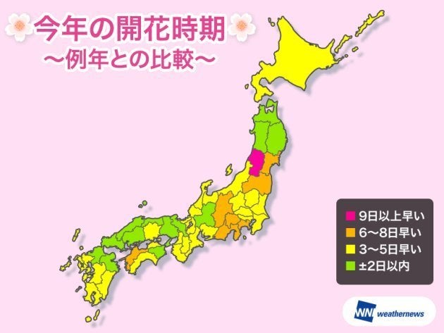 今年の開花時期、例年との比較