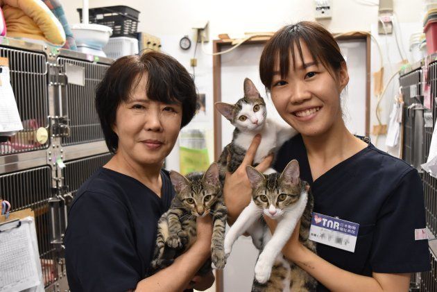 TNR日本動物福祉病院の結昭子さん（左）