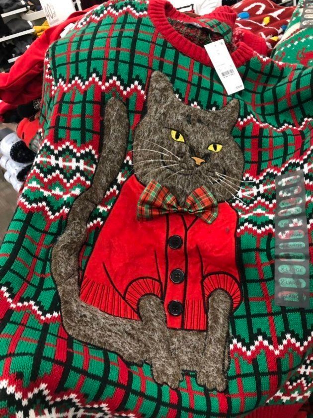 ロサンゼルスで奇跡的に見つかった我が家の猫としか思えないセーター。友人にお願いして迷わず購入。