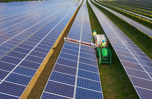 がんを引き起こす？ 小さな町の住民が太陽光発電にノーを突きつけた | ハフポスト NEWS