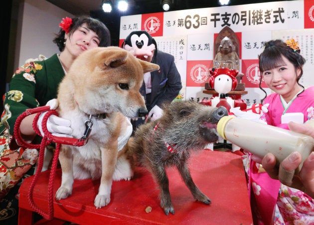 大阪市浪速区の通天閣で、年末恒例の「干支（えと）の引継ぎ式」が行われた＝2018年12月27日