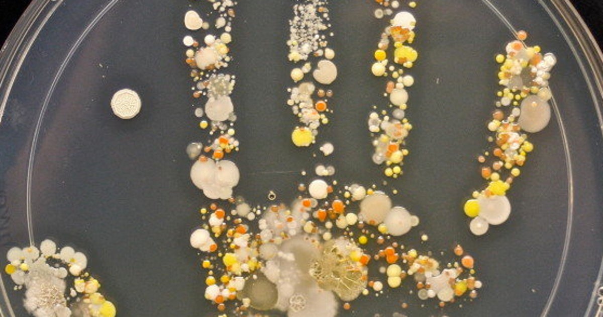 手のひらの雑菌で作った手形は ゾッとするけど見方によってはアート 画像 ハフポスト 手のひらの雑菌で作った手形は ゾッとするけど見方によってはアート 画像 ハフポスト