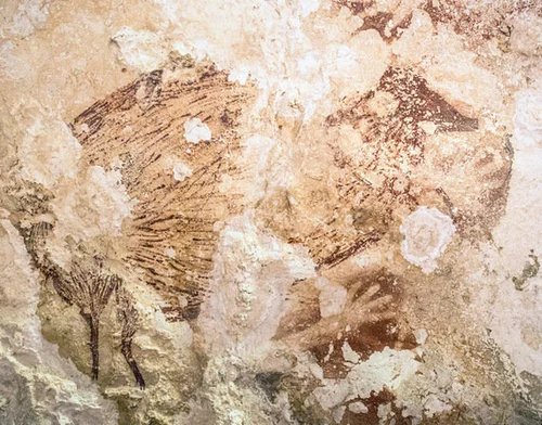 洞窟の絵 世界最古と分かった、インドネシアの洞窟絵画 | ハフポスト NEWS