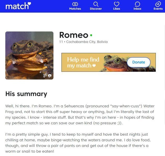 ロミオは恋愛や結婚の大手マッチングサイトに登録され、お相手を見つけるための研究費用の寄付を呼び掛けた