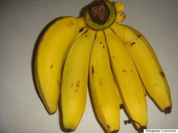 バナナが消える 強力なカビの登場で危機的状況に ハフポスト