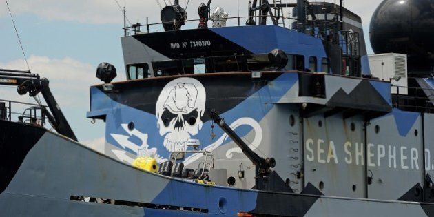 The ship 'Steve Irwin' from the fleet of environmental activist group Sea Shepherd sits at anchor in Gage Roads off Fremantle near Perth on December 7, 2011. Australia said on December 7 it had rejected a call from Japan to provide more security for its whaling fleet in Antarctic waters, the site of violent clashes with animal rights activists in previous years. The Japanese fleet left port Tuesday on the country's annual hunt and activists with the militant Sea Shepherd Conservation Society, who plan to harass the whalers, said they were preparing to join them within days. AFP PHOTO / Greg WOOD (Photo credit should read GREG WOOD/AFP/Getty Images)