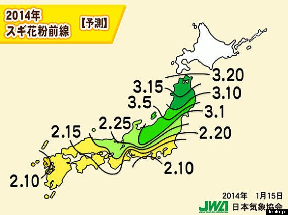 スギ花粉がまもなくシーズン突入 井口靖子 ハフポスト