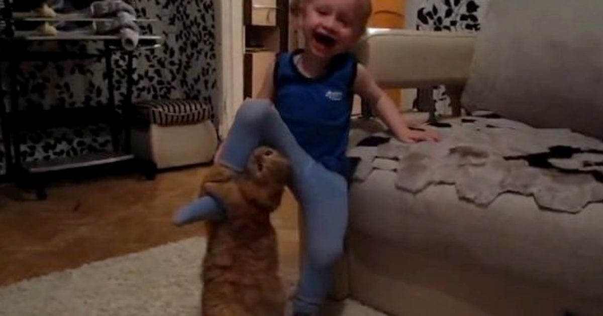 子供 Vs 猫 やられたら やり返すニャン 動画 ハフポスト