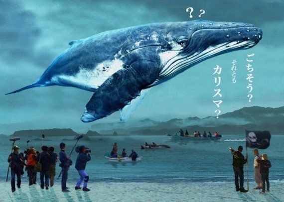 イルカとクジラ問題に向き合う 日本人初の本格ドキュメンタリー映画を撮る女性監督の思いは ハフポスト