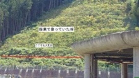 公の場での発言・インタビュー報道記録