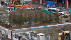 「ゆるふわ系愛国」のゆくえ〜安倍昭恵氏と稲田朋美氏、そして森友学園