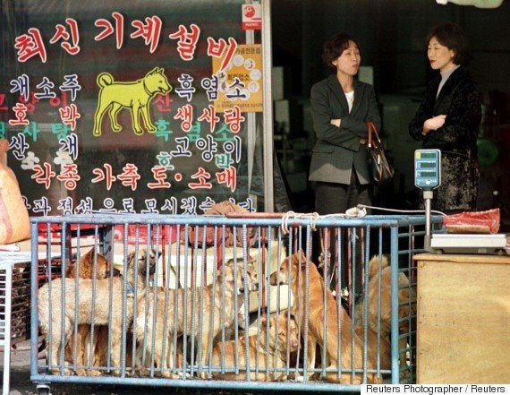 犬肉食は虐待か 伝統文化か 平昌オリンピックで進む韓国の 犬肉離れ ハフポスト