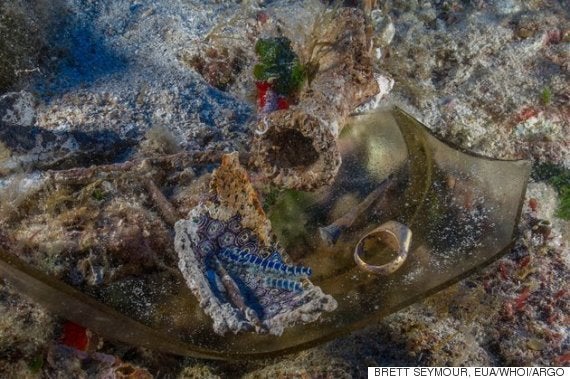 世界最古のコンピューター で知られるアンティキティラの沈没船から新たな発見 古代の武器も ハフポスト