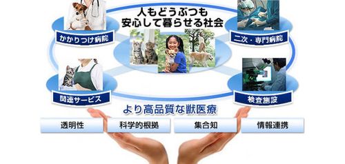 動物病院 コレクション 呼ばれる時 ペット