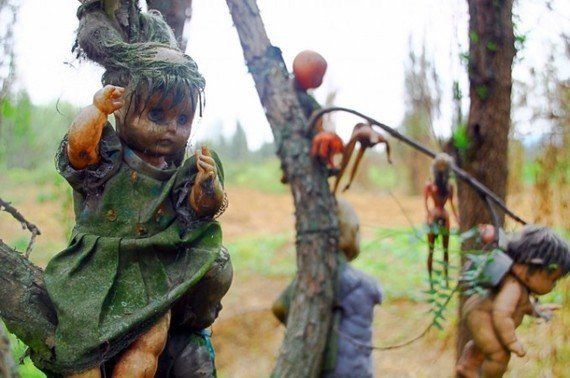閲覧注意 世界７大禁断の地 メキシコの呪われた 人形島 が怖すぎる ハフポスト