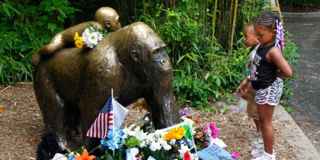 CINCINNATI, OH - JUNE 2: Visitors view a bronze statue of a gorilla and her baby surrounded by flowers outside the Cincinnati Zoo 's Gorilla World exhibit days after a 3-year-old boy fell into the moat and officials were forced to kill Harambe, a 17-year-old Western lowland silverback gorilla June 2, 2016 in Cincinnati, Ohio. The exhibit is still closed as zoo officials work to upgrade safety features of the exhibit. (Photo by John Sommers II/Getty Images)