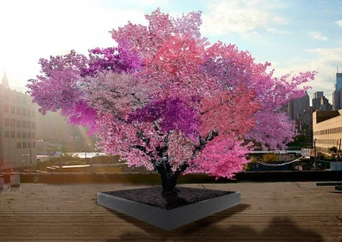なぜ1本の木に40種類のフルーツが？ 鬼才が生み出した「植物の