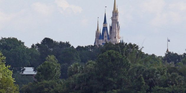 In the shadow of the Magic Kingdom, Florida Fish and Wildlife Conservation Officers search for a young boy Wednesday, June 15, 2016 after the boy was grabbed Tuesday night by an alligator at Grand Floridian Resort at Disney World near Lake Buena Vista, Fla. (Red Huber/Orlando Sentinel/TNS via Getty Images)