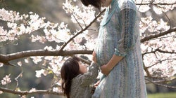 風疹にかかるのは何歳の人？