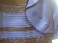 青と黒 白と金 ネット上で大論争を呼んだドレスの色がついに決着 画像 ハフポスト 青と黒 白と金 ネット上で大論争を呼んだドレスの色がついに決着 画像 ハフポスト