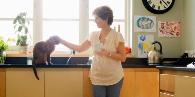 Woman petting cat in kitchen