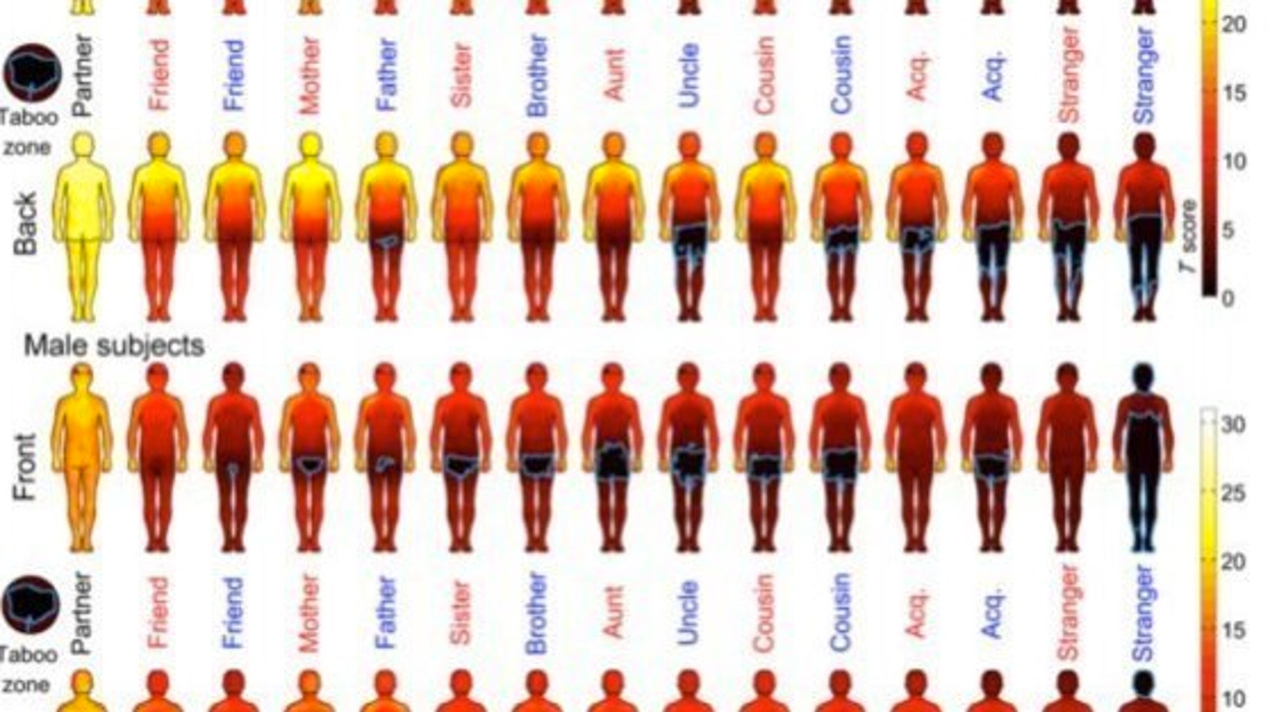 恋人ならいいけど 友達はダメ 触ってもいい場所がわかるボディマップ 研究結果 ハフポスト News