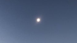 Tesla の Autopilot と Netflix