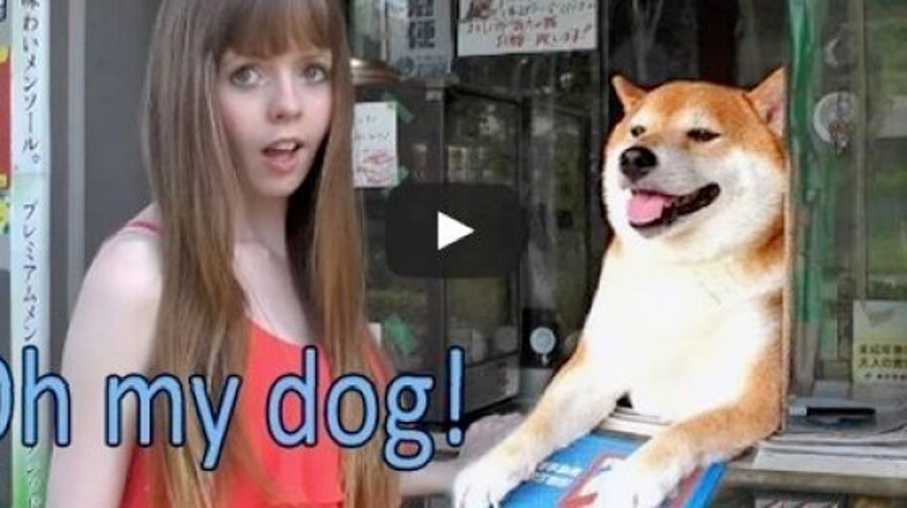 シバちゃん タバコ店の看板犬 外国人の女性を おもてなし Oh My Dog 動画 ハフポスト Life