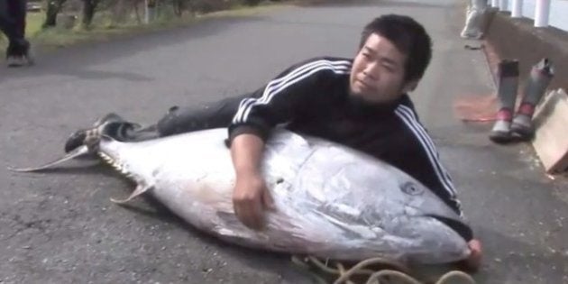 川に黒い物体 マグロでした 地元の人がおいしくいただきました 動画 ハフポスト