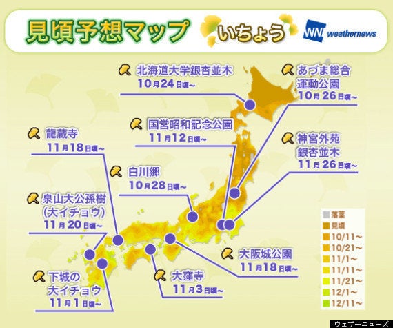 紅葉、東日本各地で見頃 色づく木々に映える「赤い橋」