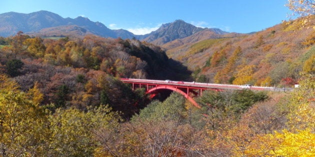 紅葉、東日本各地で見頃 色づく木々に映える「赤い橋」