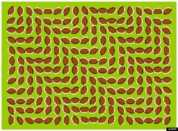 <a href="http://www.reddit.com/r/offbeat/comments/7c4d7/20_optical_illusions_that_will_have_you_stumped/" target="_blank" role="link" class=" js-entry-link cet-external-link" data-vars-item-name="reddit" data-vars-item-type="text" data-vars-unit-name="5c5bc675e4b0e3ab95b2024f" data-vars-unit-type="buzz_body" data-vars-target-content-id="http://www.reddit.com/r/offbeat/comments/7c4d7/20_optical_illusions_that_will_have_you_stumped/" data-vars-target-content-type="url" data-vars-type="web_external_link" data-vars-subunit-name="article_body" data-vars-subunit-type="component" data-vars-position-in-subunit="3">reddit</a>