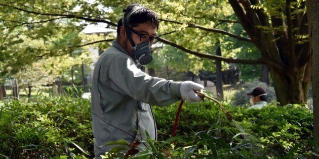 Workers spray insecticide at Yoyogi park in Tokyo on September 5, 2014. Tokyo on September 5 closed most of Yoyogi Park, a popular green spot in the Japanese metropolis, after dengue-carrying mosquitoes were found there, an official said. The outbreak is the first in 70 years in Japan and has so far infected 55 people, including a young model who has posed for Japanese Playboy and had been sent to the park for a photo shoot. AFP PHOTO / Yoshikazu TSUNO (Photo credit should read YOSHIKAZU TSUNO/AFP/Getty Images)