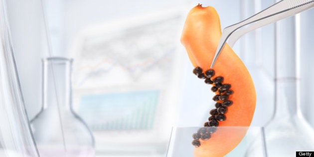 Papaya chemical research