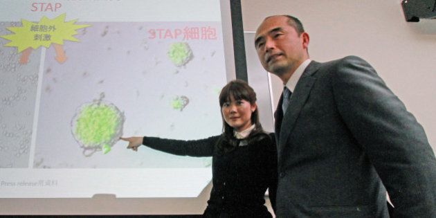 This photo taken on January 28, 2014 shows Japanese researcher Haruko Obokata (L) of the Japan-based Riken Institute and Yamanashi University professor Teruhiko Wakayama (R) displaying a picture of stem cells during a press conference at a Riken research center in Kobe, western Japan. Wakayama, the co-author of a Japanese study that promised a revolutionary way to create stem cells, has called on March 11, 2014 for the headline-grabbing research to be retracted over claims its data was faulty. JAPAN OUT AFP PHOTO / JIJI PRESS (Photo credit should read JIJI PRESS/AFP/Getty Images)