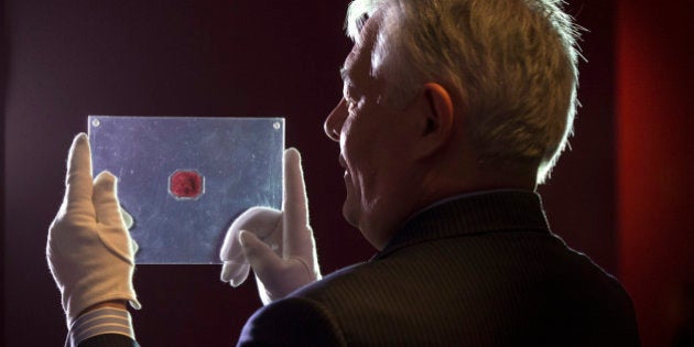 LONDON, ENGLAND - JUNE 02: An employee of Sotheby's auction house holds a case containing the sole-surviving 'British Guiana One-Cent Magenta' stamp dating from 1856, on June 2, 2014 in London, England. The unique stamp is expected to fetch 20 million USD when auctioned in New York, USA on June 17, 2014. The stamp was initially discovered in 1873 by a 12-year old Scottish boy living in British Guiana, South America who sold it to a local stamp collector for several shillings. (Photo by Oli Scarff/Getty Images)