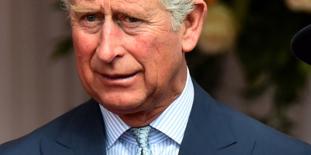 WINDSOR, ENGLAND - APRIL 08: Prince Charles, Prince of Wales (L) and Camilla, Duchess of Cornwall (R) attend a ceremonial welcome for Irish President Michael D. Higgins at Windsor Castle on April 8, 2014 in England. This is the first official visit by the head of state of the Irish Republic to the United Kingdom. (Photo by Ben Stansall - WPA Pool/Getty Images)