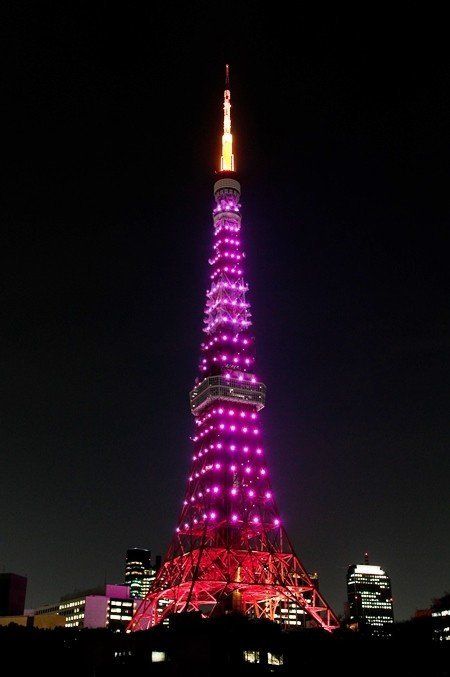 東京でも桜開花 東京タワーの特別ライトアップにも注目 ハフポスト