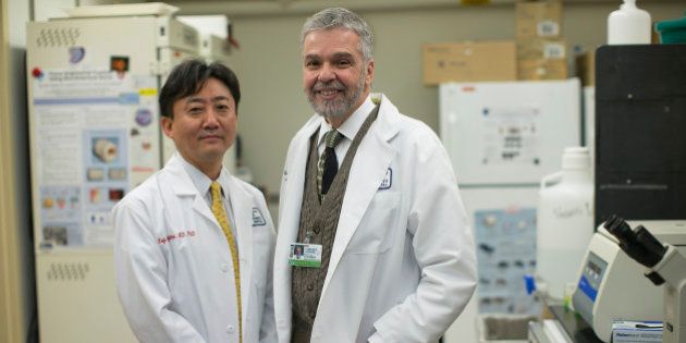 BOSTON - JANUARY 28: Dr. Charles Vacanti, right, stood with Dr. Koji Kojima, Scientific Director of Laboratories for Tissue Engineering and Regenerative Medicine in the laboratory at Brigham and Women's Hospital in Boston, MA on Tuesday, January 28, 2014. Vacanti has been at the vanguard of stem cell creation. A team of Boston and Japanese researchers stunned the scientific world Wednesday by revealing a remarkably simple and unexpected way to create stem cells that can become any of the diverse cell types in the body. Dr. Kojim co-authored the paper published in the journal Nature. (Photo by Yoon S. Byun/The Boston Globe via Getty Images)