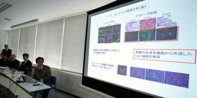 Shunsuke Ishii, a molecular geneticist at Riken and head of the research investigation committee, center, speaks as he looks at a screen displaying an interim report on the research investigation into doubts about the stimulus-triggered acquisition of pluripotency (STAP) cell papers, published in Nature Publishing Group's Nature scientific journal during a news conference in Tokyo, Japan, on Friday, March 14, 2014. Japan's Riken center apologized for errors in a pair of studies that had outlined a simpler, quicker way of making stem cells and said the institute is considering recommending a retraction. Photographer: Kiyoshi Ota/Bloomberg via Getty Images