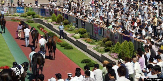 NIIGATA, JAPAN - AUGUST 25: Horses are paraded during the JRA Niigata Race at Niigata Race Course where total of 191 hourses run in 12 races on August 25, 2007 in Niigata, Japan. Japan Racing Association (JRA) announced on August 17 the cancellation of the races on August 18/19 due to possible equine influenza (EI) outbreak after 29 horses were found infected out of the 163 horses that JRA examined. (Photo by Getty Images)