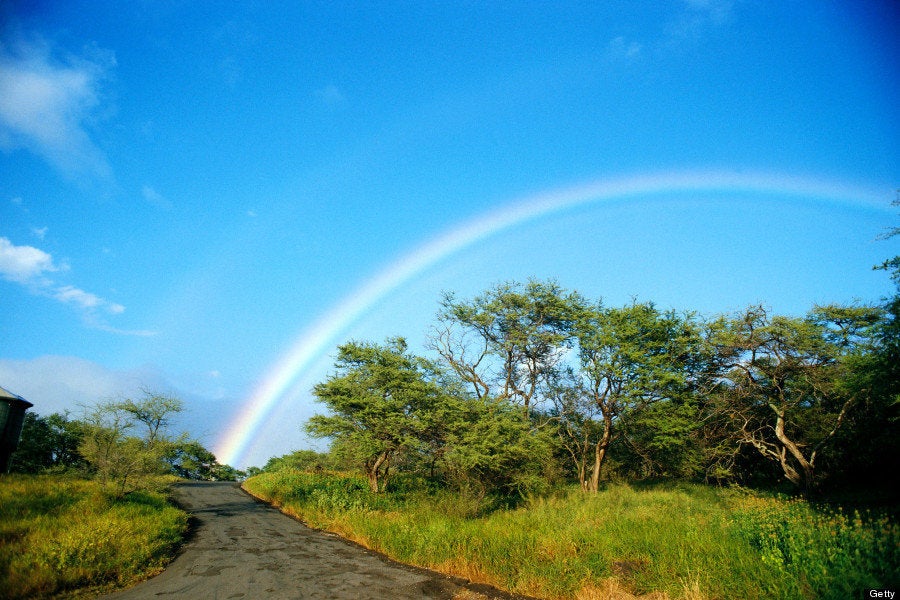 ハワイの美しい虹はあなたの一日を明るくしてくれる 画像集 ハフポスト News