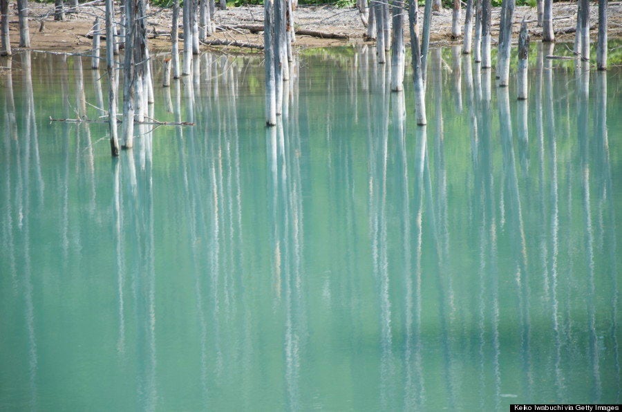 Mac Osの壁紙にもなった北海道の美しい池 ハフポスト