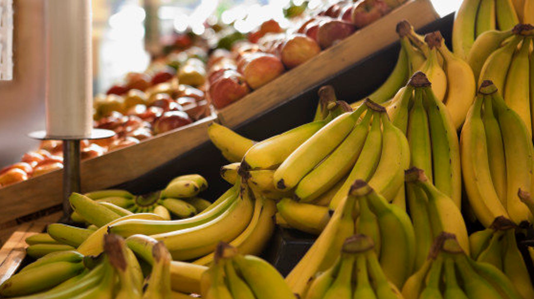 普通に買ったバナナから 世界最強の毒グモ の子が大量に 英国 ハフポスト News