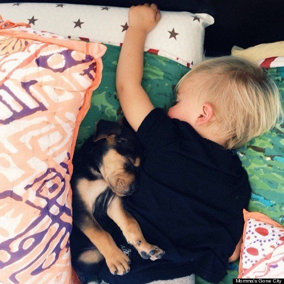 子犬と赤ちゃんのお昼寝写真集 ハフポスト