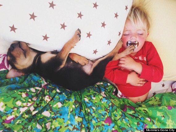 子犬と赤ちゃんのお昼寝写真集 ハフポスト