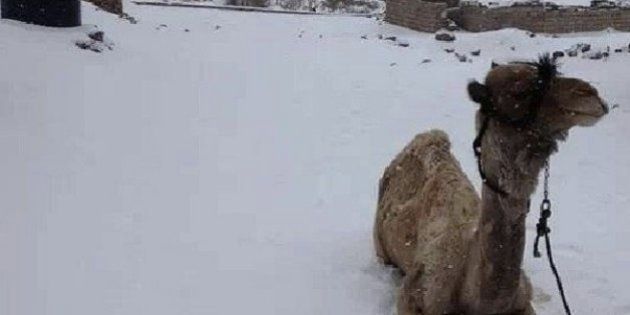 エジプトに雪 数十年ぶり 現地の画像集 ハフポスト