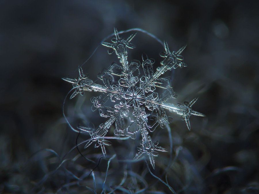 息を飲むほど美しい雪の結晶 画像 ハフポスト Life
