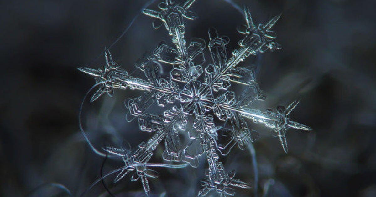 5c63e66a260000d401fdd558.jpeg?